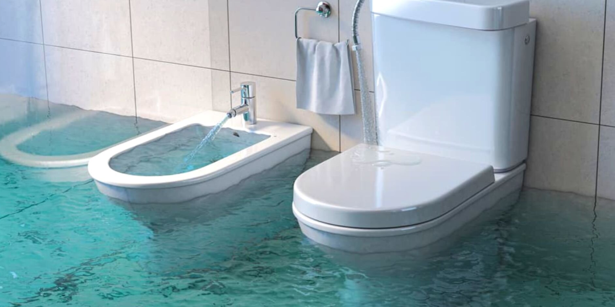Overflowing Toilets