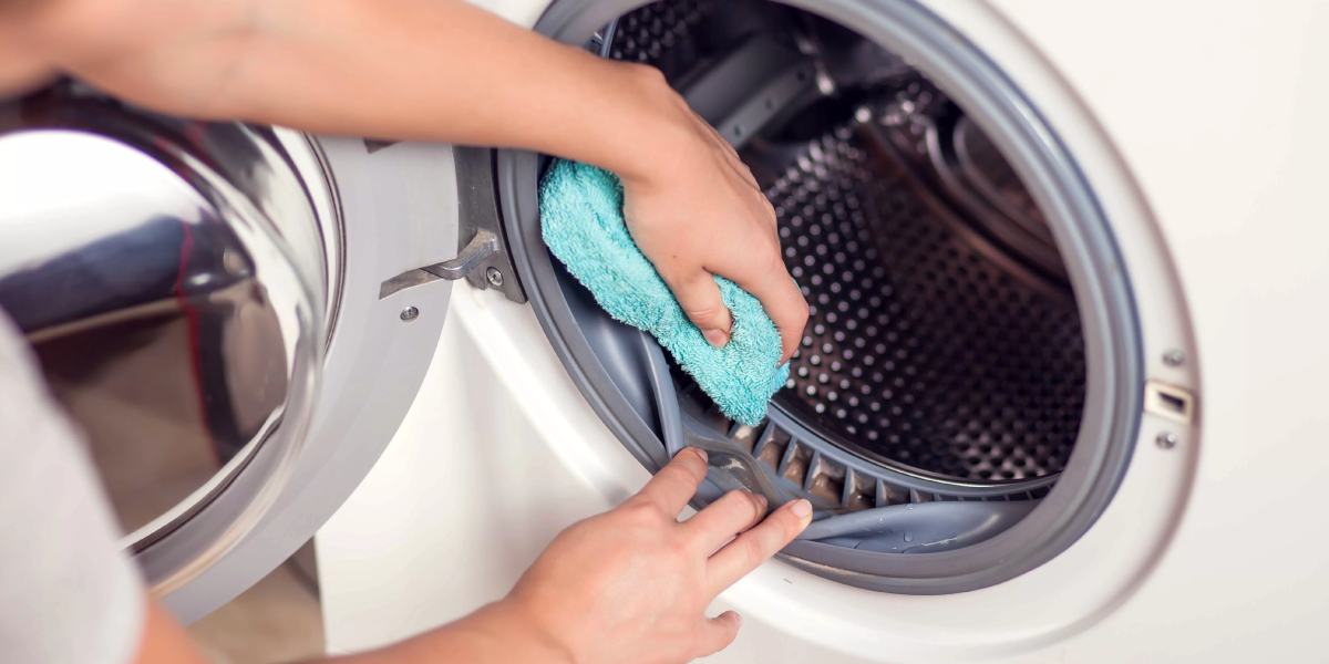 How to Prevent Mold from Coming Back How to Prevent Mold from Coming Back